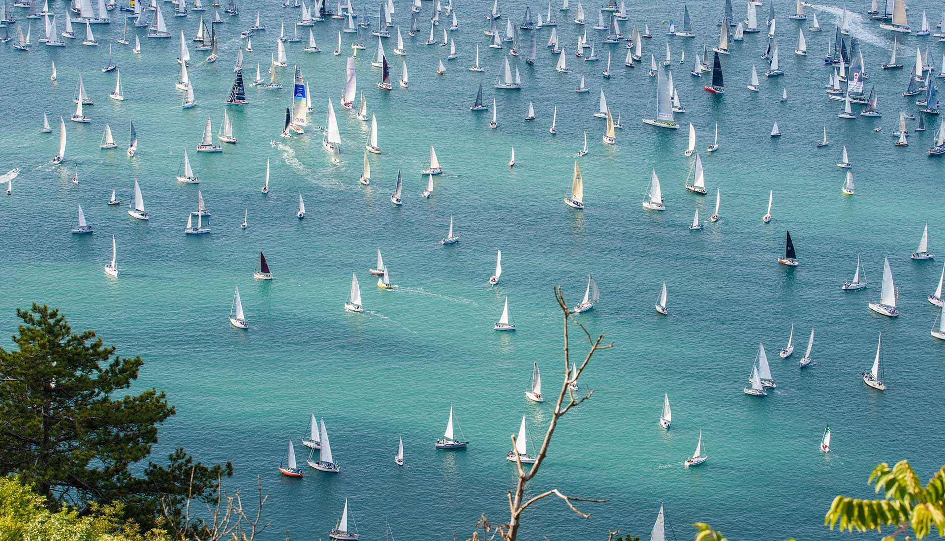 Il mare e la barcolana